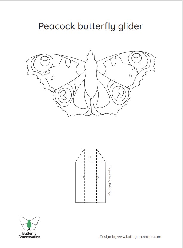 Image of the butterfly glider template