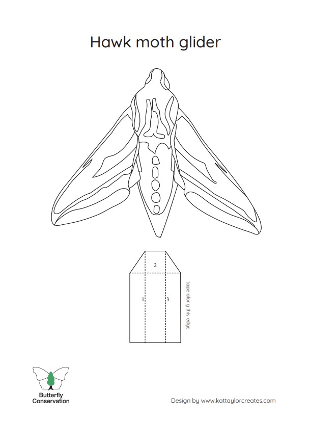 Image of the moth glider template