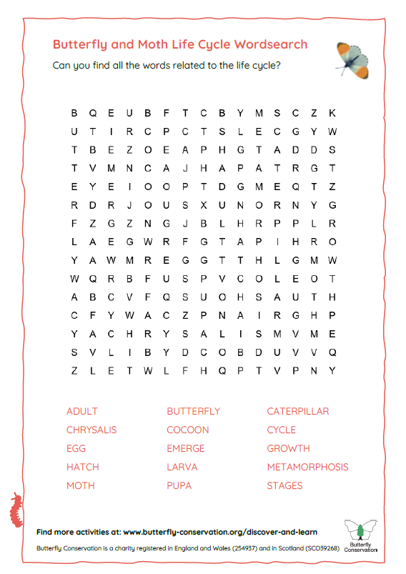 Life Cycle Wordsearch