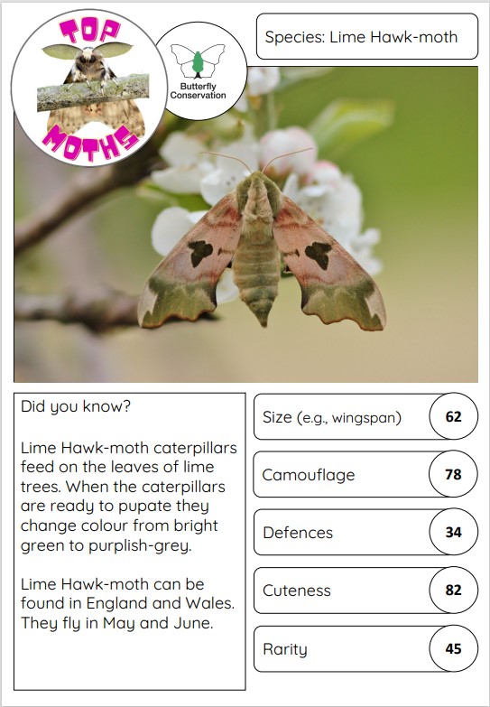 An image of the top moths card example