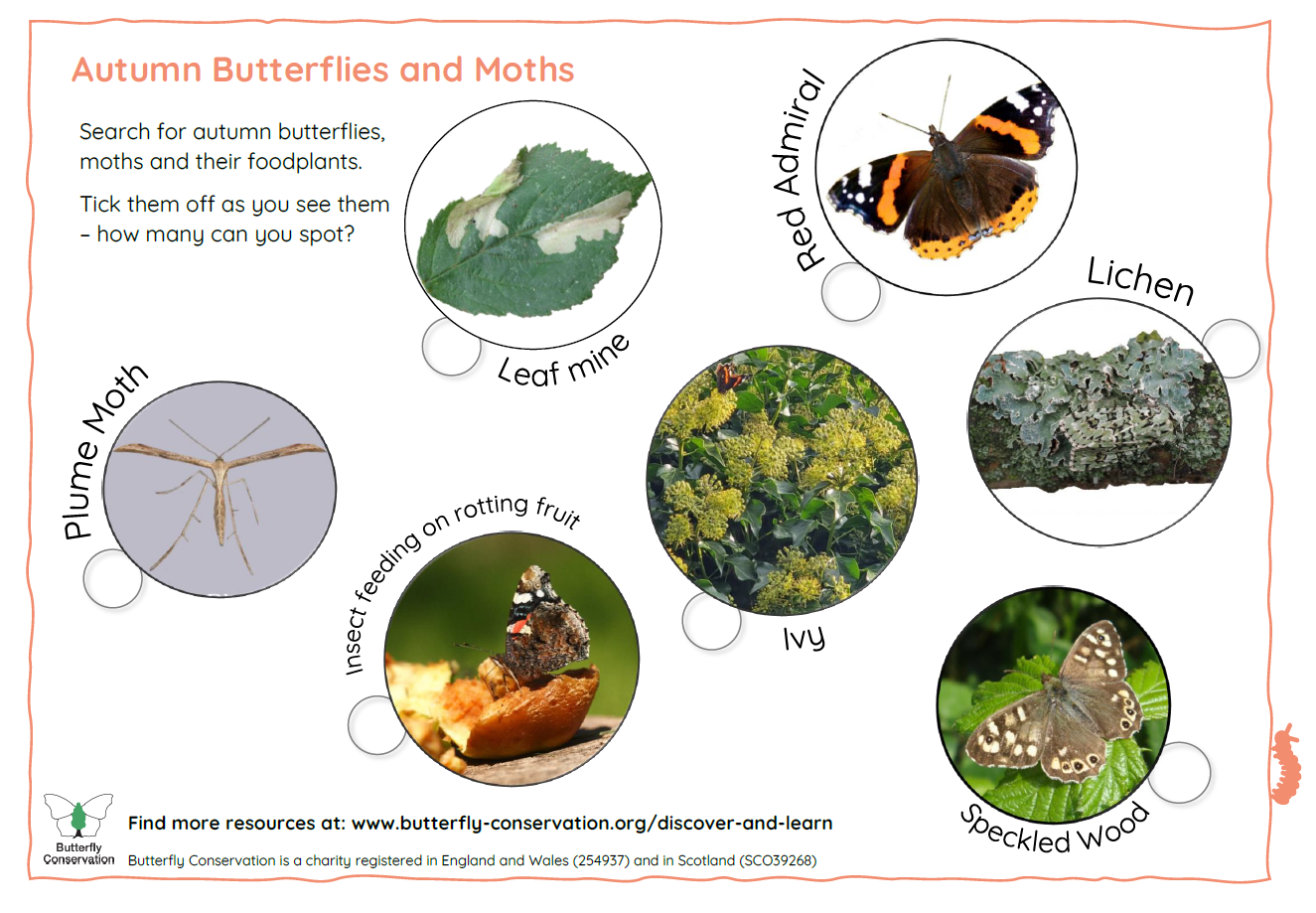 Autumn Butterflies and Moths Spotter Sheet