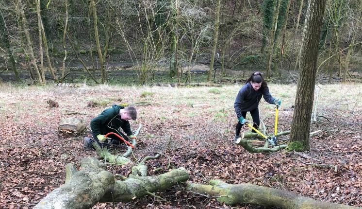 Volunteering - Tree clearance at Rough Bank