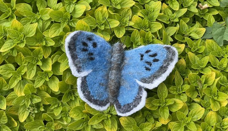 Felt your own Large Blue Butterfly