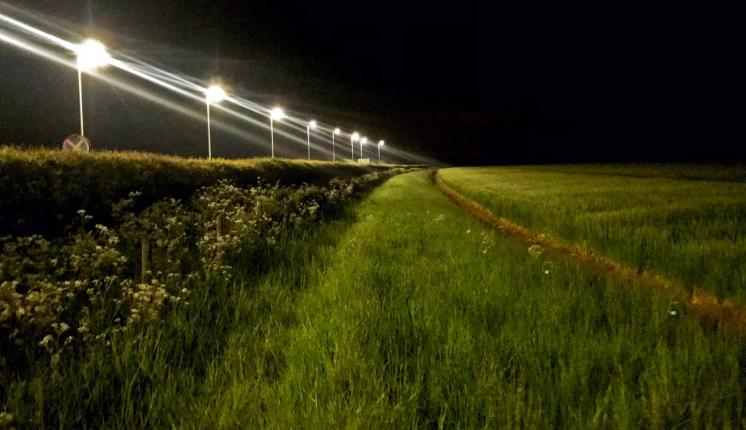 LED streetlights by a field at night