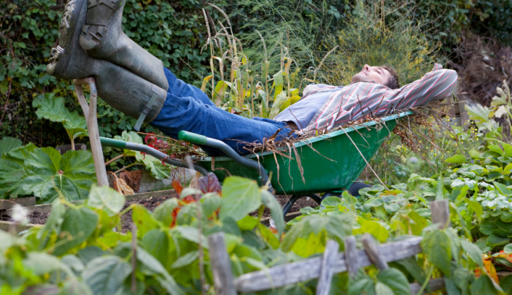 Man sleeping in a wheelbarrow in a garden