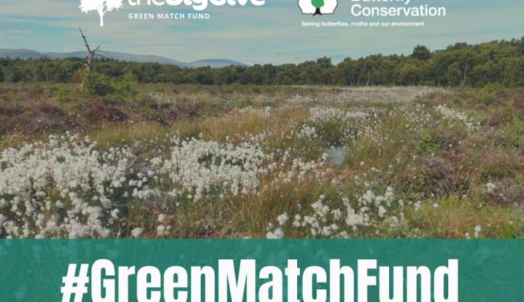 Green Match Fund - Bog Squad