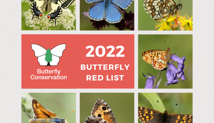 2022 Butterfly Red List
