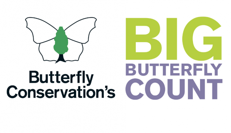 Butterfly Conservation's Big Butterfly Count logo