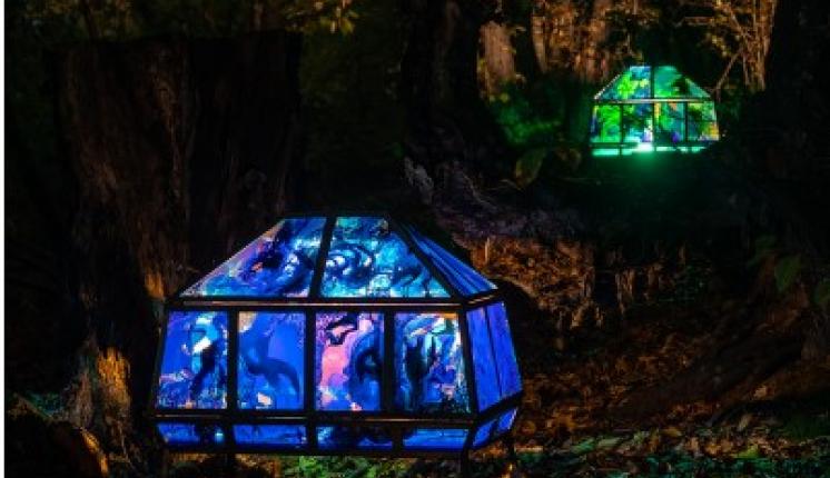 Blue-lit green house in a forest.