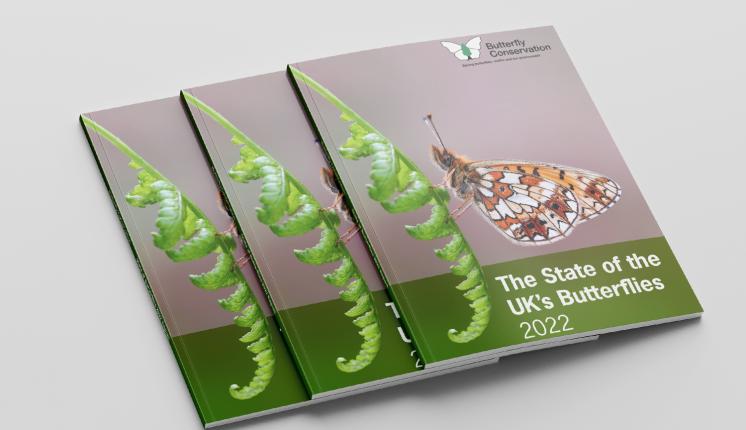 The State of UK's Butterflies 2022 Report