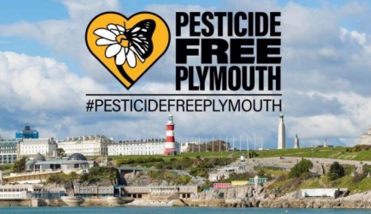 Sunny beach background to Pesticide Free Plymouth logo