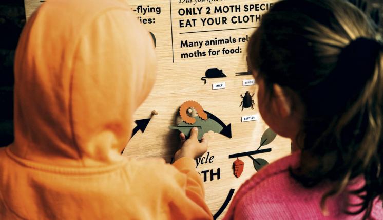 Two children learning about moth life cycles from a wooden information board