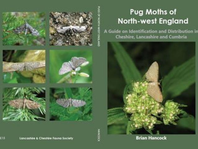 Pug Moths of North-west England by Brian Hancock