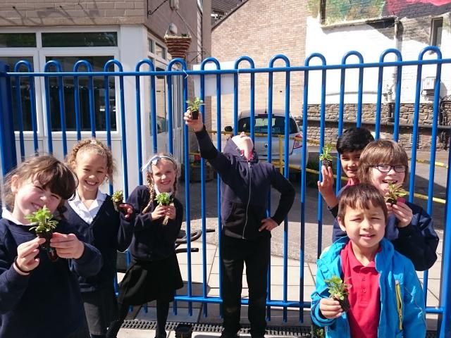 Munching Caterpillars school children