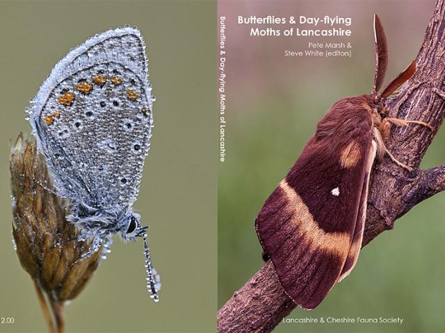 Butterflies and Day-flying Moths of Lancashire book cover