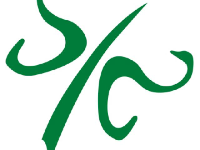 Severn Waste Services logo