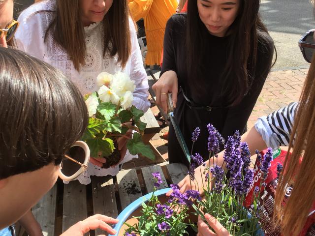 Staff at Jojo Maman Bebe helping butterflies in the city 