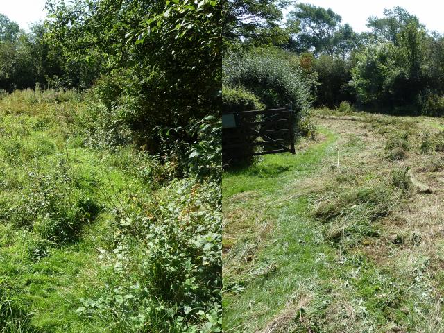 Snakeholme Workparty - Smaller Meadow - Before & After (Derek Fox) 230819
