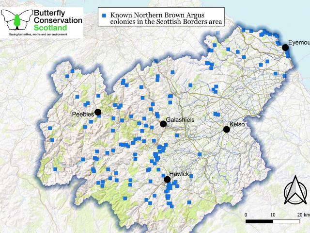 Map of Northern Brown Argus distribution in the Scottish Borders
