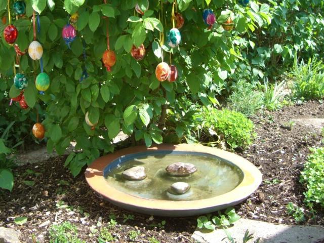 Water Bowl for Wildlife - Pixabay