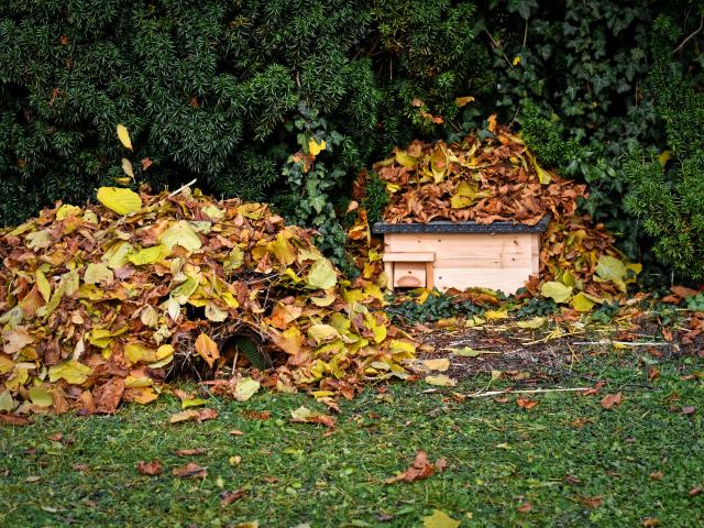 Hedgehog House / Leaf Pile -  Alexas Fotos / Pixabay