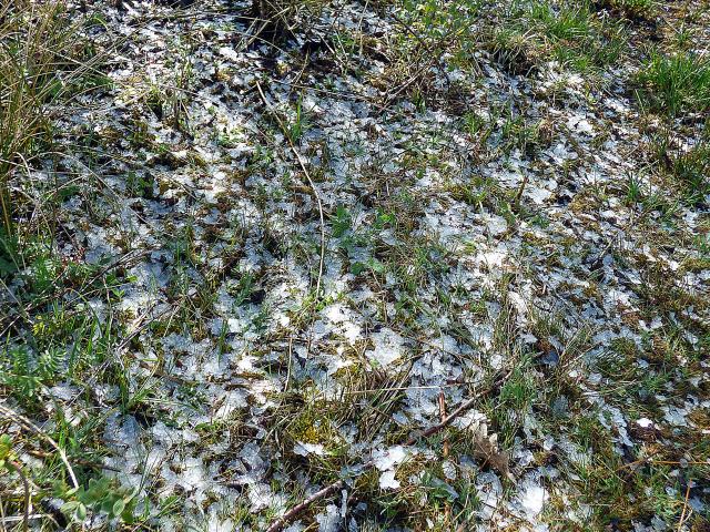 Ice on thr Ground at Snakeholme (John Davison) 060521