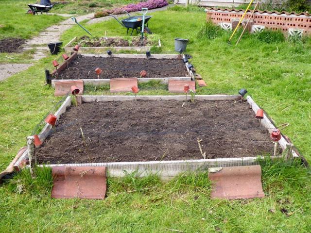 Raised beds for annuals