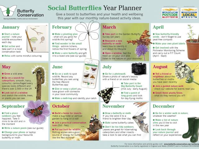 Social Butterflies Year Planner