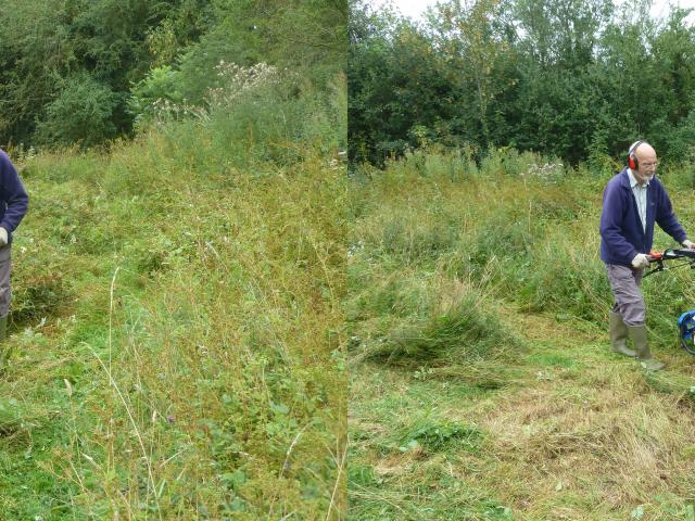 Colin cutting meadows at Snakeholme (Derek Fox) 250821 (2)