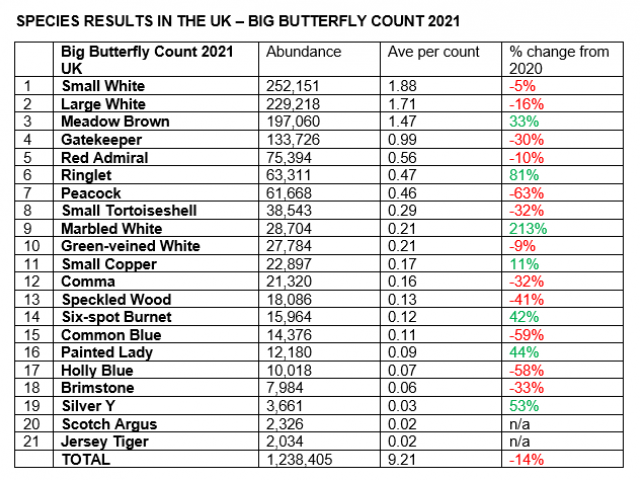 Big Butterfly Count Species List