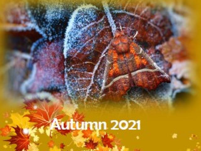 Scottish Borders Newsletter Autumn 2021