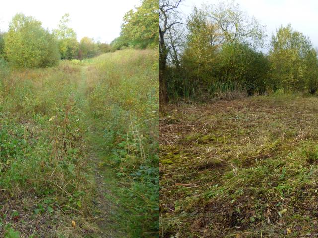 Snakeholme Pit - Pit Meadow - Before & After 041121 (1)