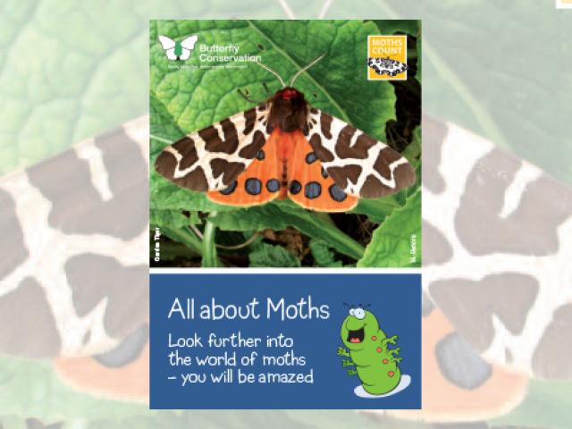 All About Moths - Leaflet