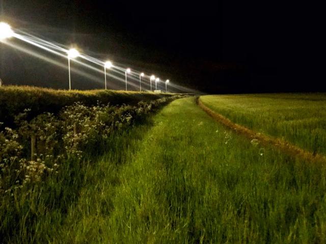 LED Streelights in a fieldsite