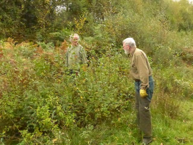 Ashclyst Forest work party