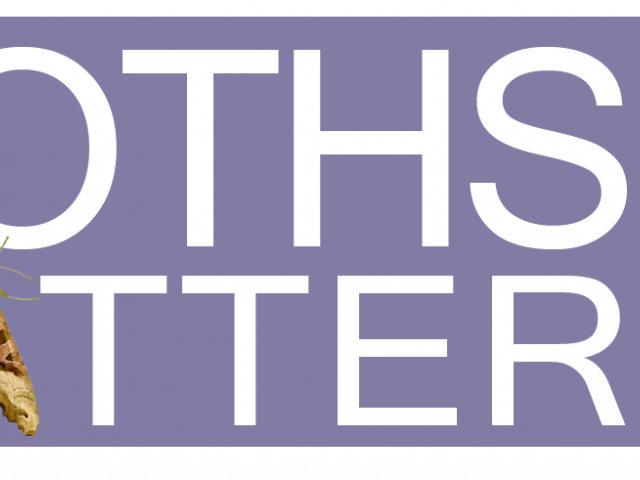 Moths Matter