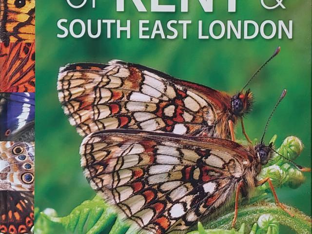 Butterflies Of Kent & South East London Book Cover