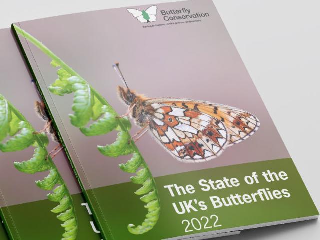 The State of UK's Butterflies 2022 Report