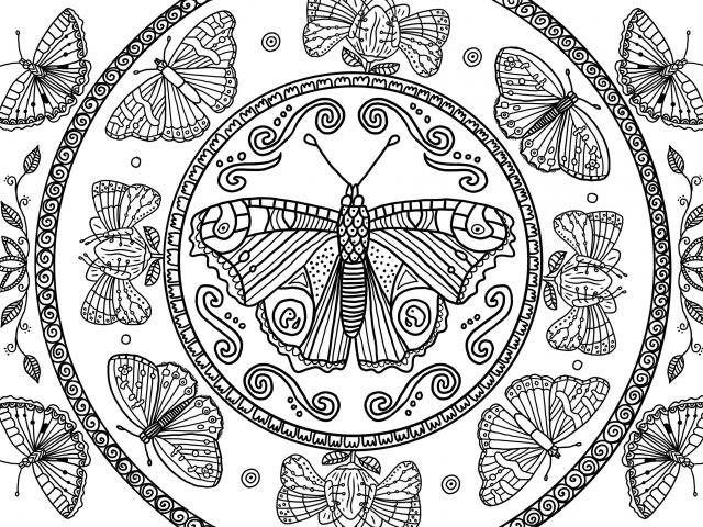 An image of a mindful colouring in