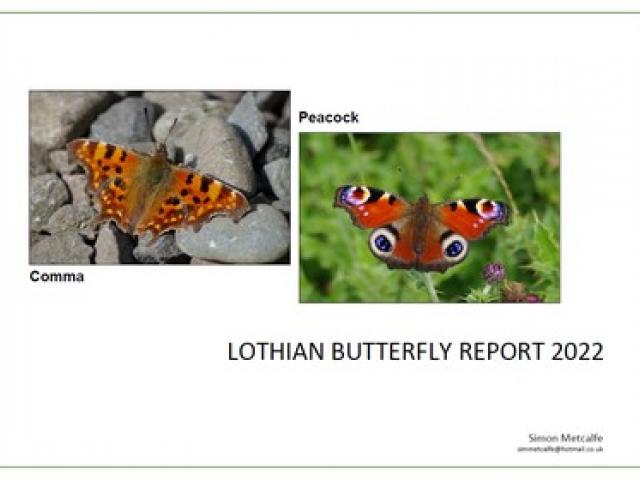 Lothians Butterfly Report 2022