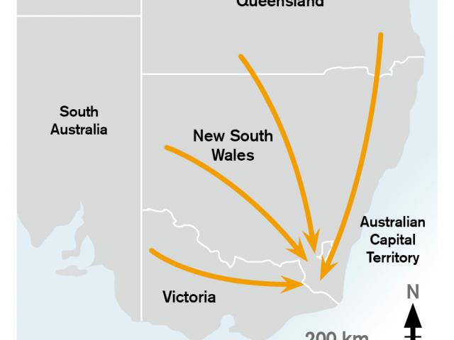 Basic map showing the borders of Queensland, South Australia, New South Wales and Victoria with orange arrows converging on a point in south-east Australia