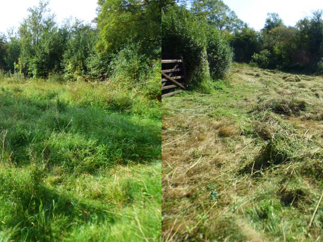 Gate Meadow at Snakeholme - Before & After (John Davison) 070923