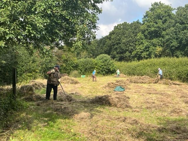 Lincoln Conservation Volunteers at Snakeholme (Sophie Hadfield) 170923 (1)