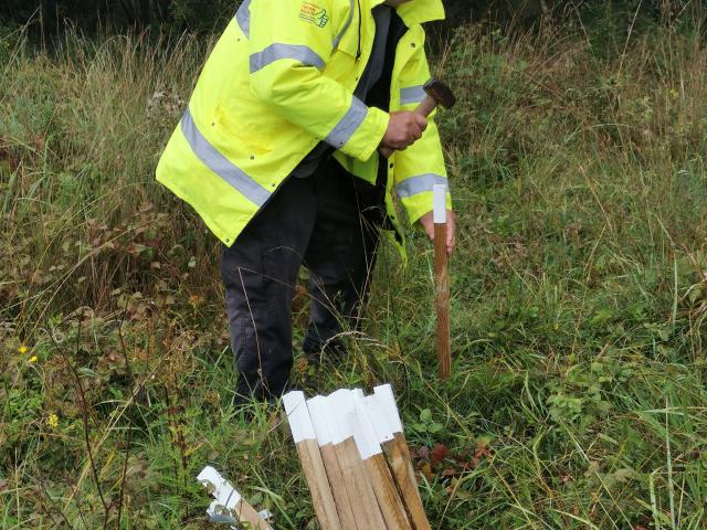 Peter Cawdell restoring posts at Twyford (Martin Kew) 120923