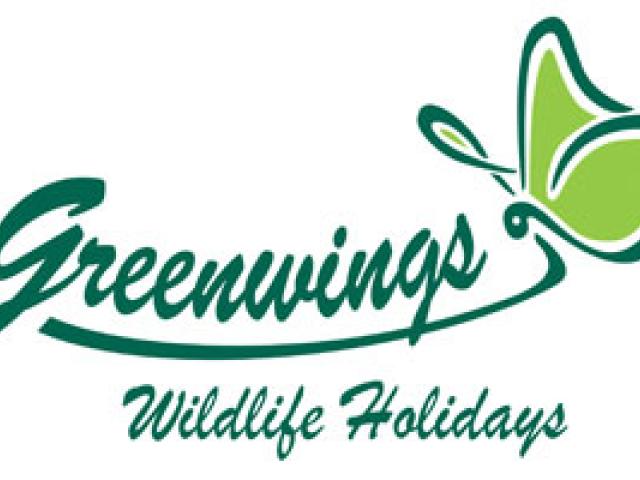 Greenwings