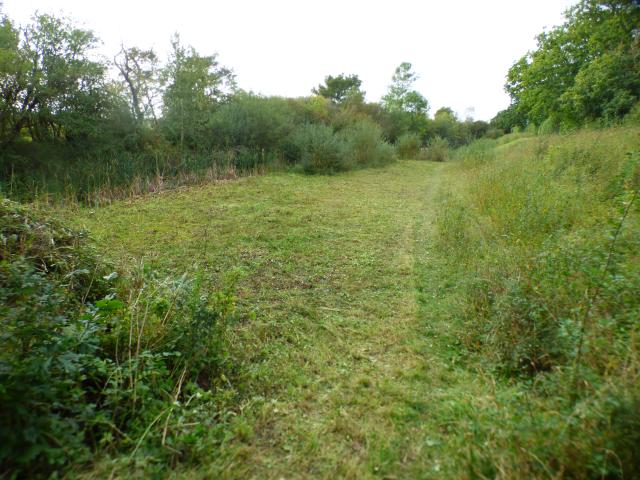 Snakeholme Pit - Lower Meadow (John Davison) 071023