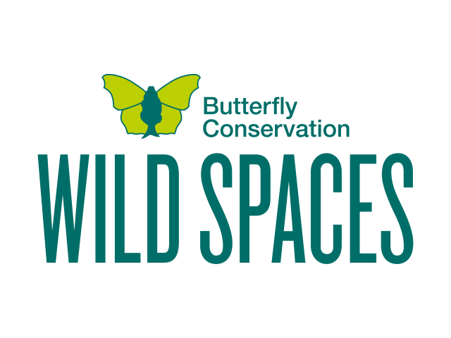 Wild Spaces logo