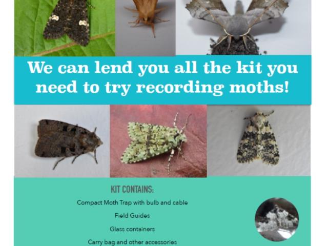 Moth Trap Kit